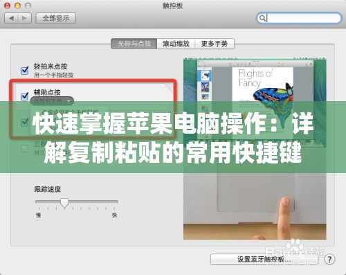 快速掌握苹果电脑操作：详解复制粘贴的常用快捷键指南