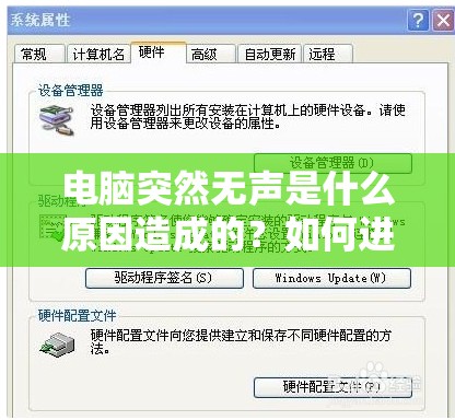 新澳36码期期必中特|最新正品解答落实_试用集.9.147