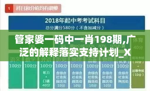 管家婆一码中一肖198期,广泛的解释落实支持计划_XT.7.479