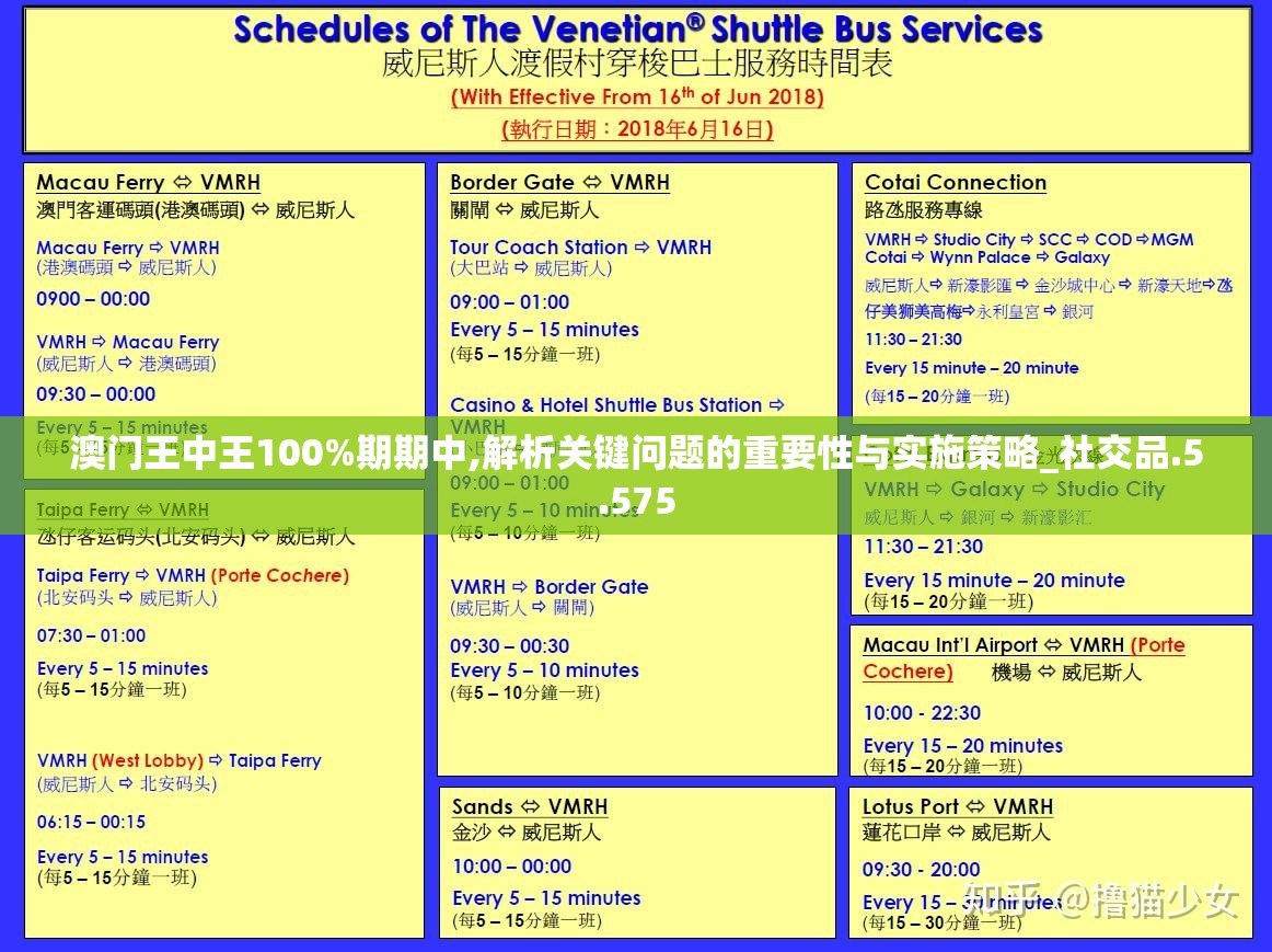 澳门王中王100%期期中,解析关键问题的重要性与实施策略_社交品.5.575