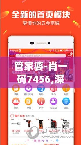 管家婆-肖一码7456,深度研究解释落实_匹配版.9.730