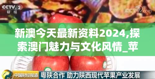 新澳今天最新资料2024,探索澳门魅力与文化风情_苹果款.6.1