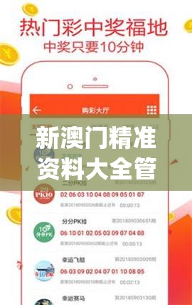 新澳门精准资料大全管家婆,最新研究解释落实_探险版IP.5.268