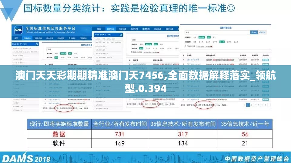 澳门天天彩期期精准澳门天7456,全面数据解释落实_领航型.0.394