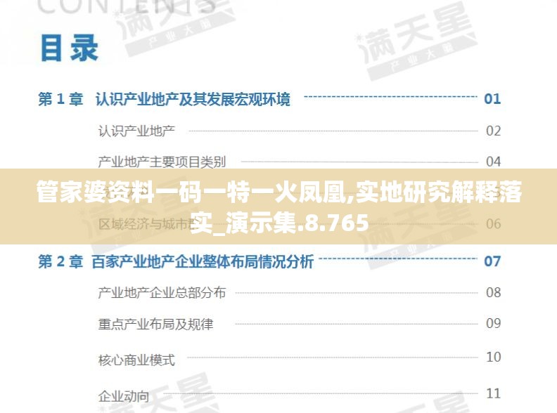 管家婆资料一码一特一火凤凰,实地研究解释落实_演示集.8.765