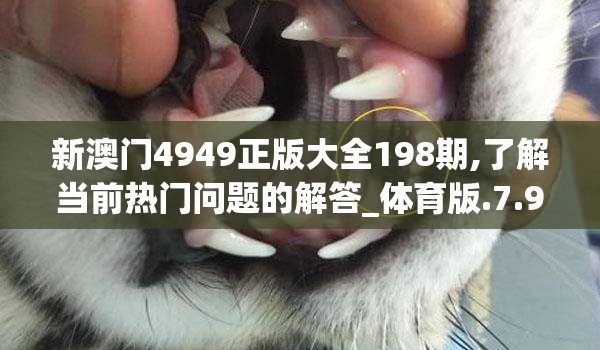 石器时代怎么加点后期最强？探讨如何在进化过程中取得领先地位