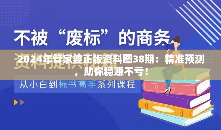 2024年管家婆正版资料图38期：精准预测，助你稳赚不亏！