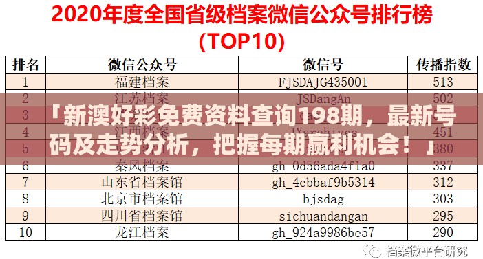 (伊洛纳开始职业选什么)伊洛纳开局哪个职业好？探讨最适合新手的游戏职业选择