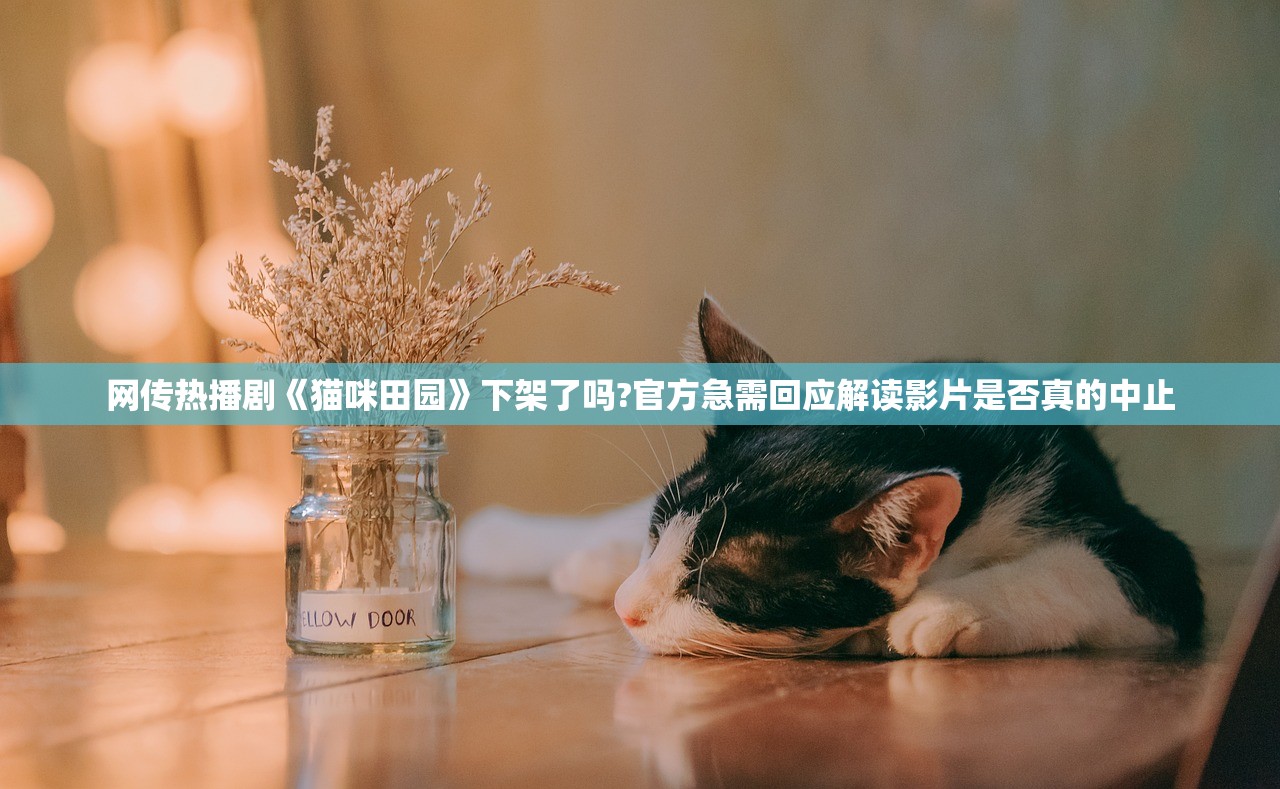 网传热播剧《猫咪田园》下架了吗?官方急需回应解读影片是否真的中止