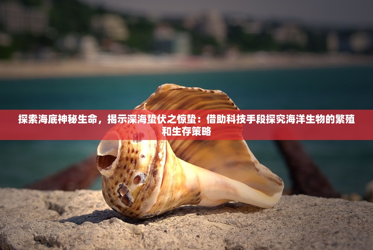 探索海底神秘生命，揭示深海蛰伏之惊蛰：借助科技手段探究海洋生物的繁殖和生存策略