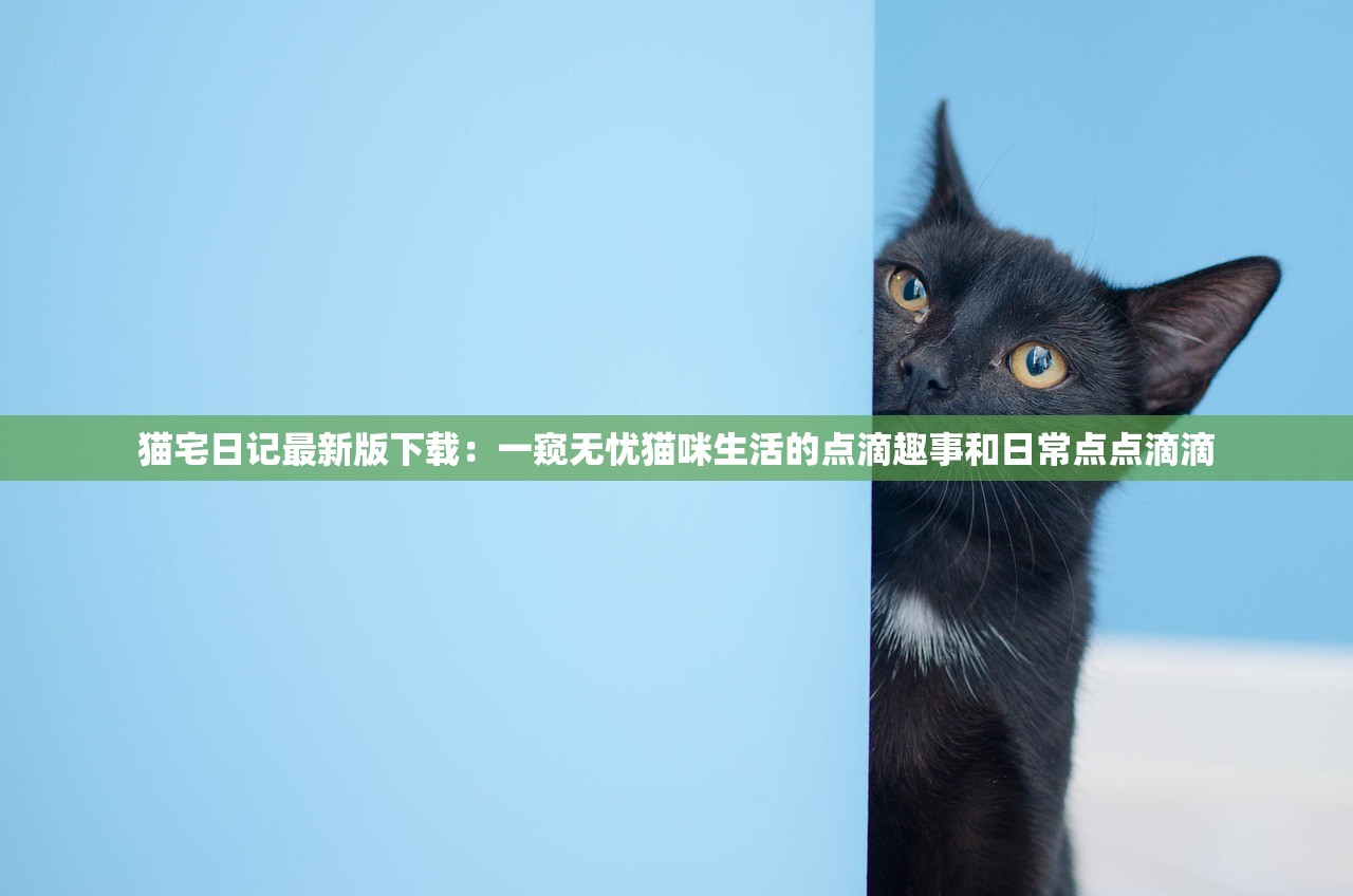 猫宅日记最新版下载：一窥无忧猫咪生活的点滴趣事和日常点点滴滴