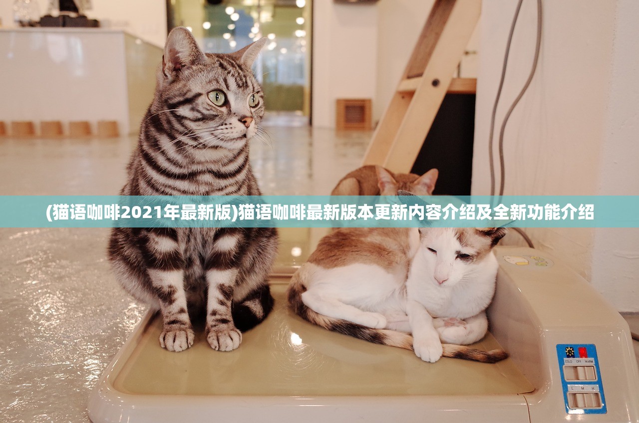 (猫语咖啡2021年最新版)猫语咖啡最新版本更新内容介绍及全新功能介绍