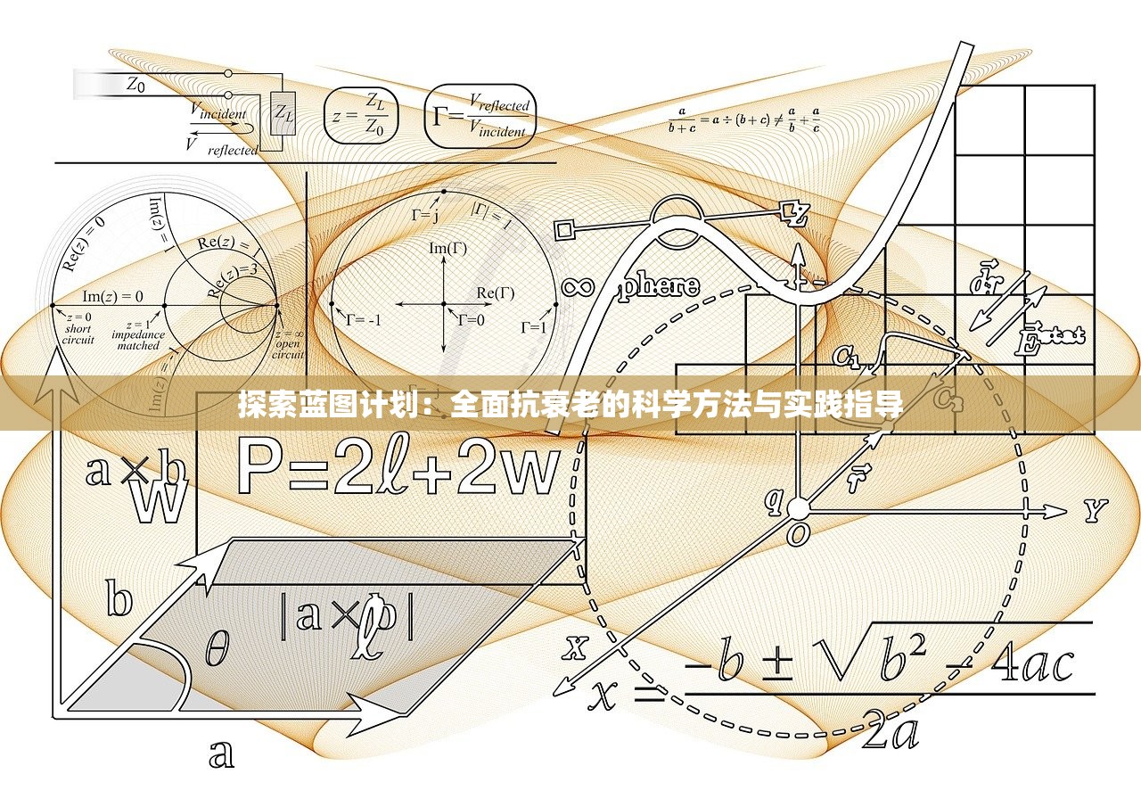 探索蓝图计划：全面抗衰老的科学方法与实践指导