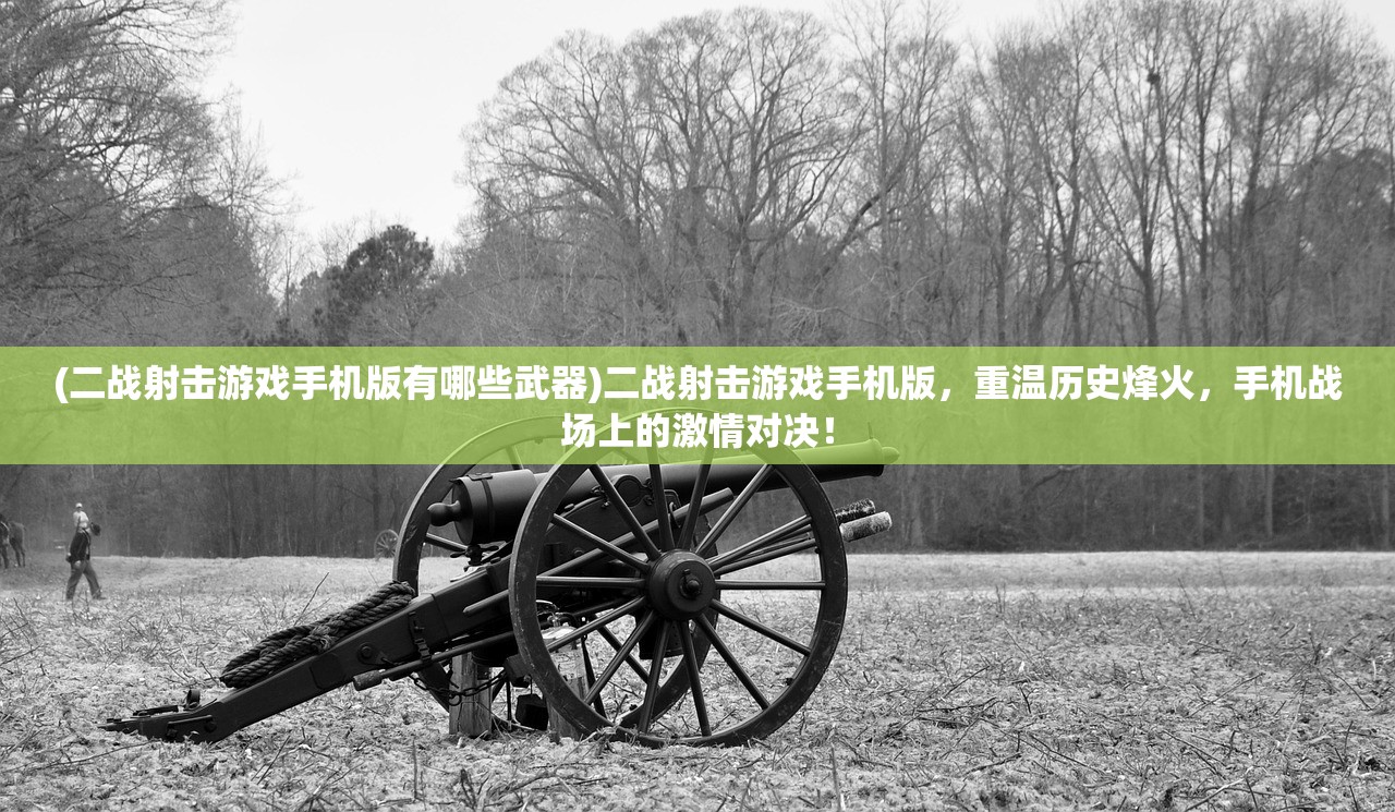 (二战射击游戏手机版有哪些武器)二战射击游戏手机版，重温历史烽火，手机战场上的激情对决！