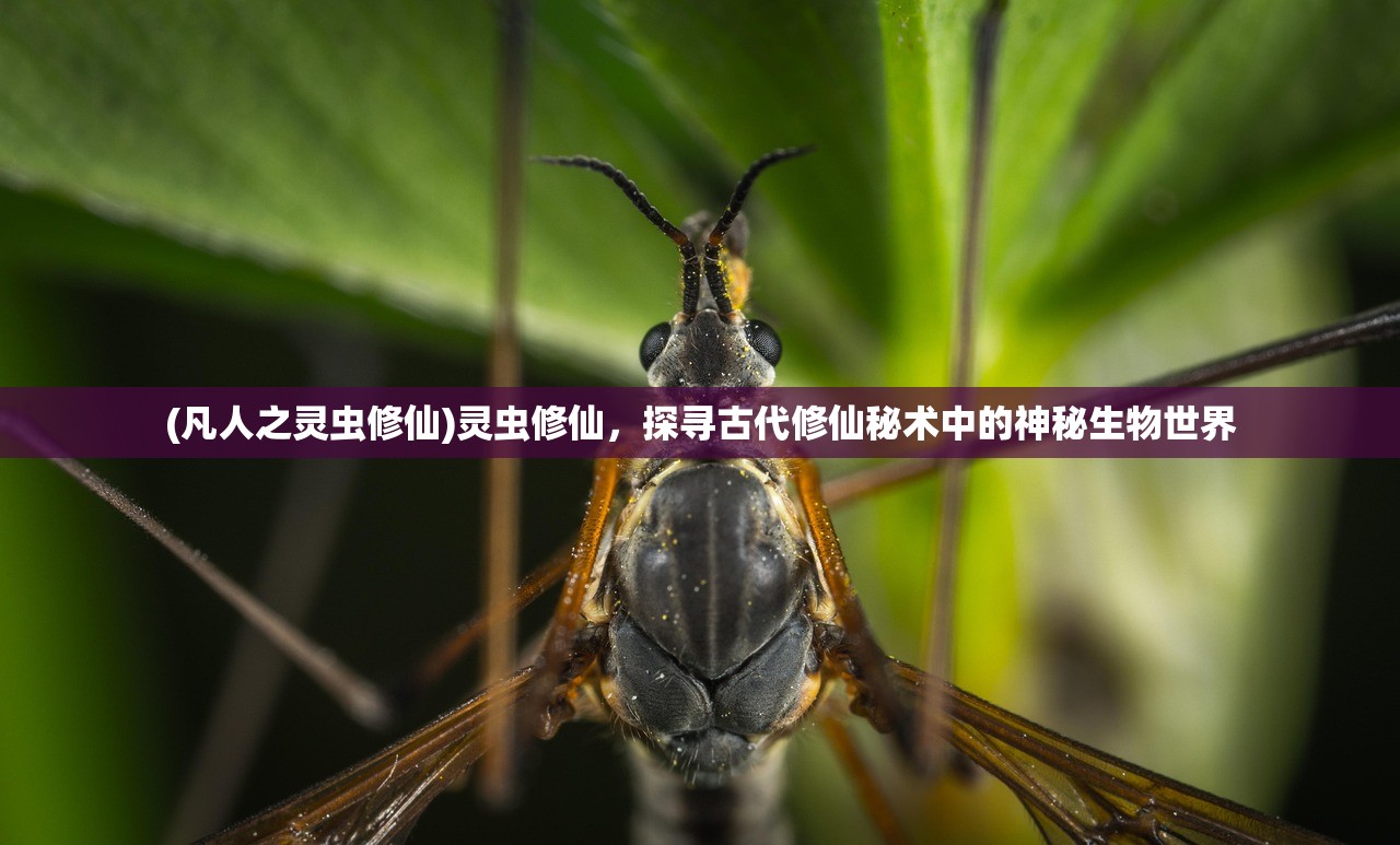 (凡人之灵虫修仙)灵虫修仙，探寻古代修仙秘术中的神秘生物世界