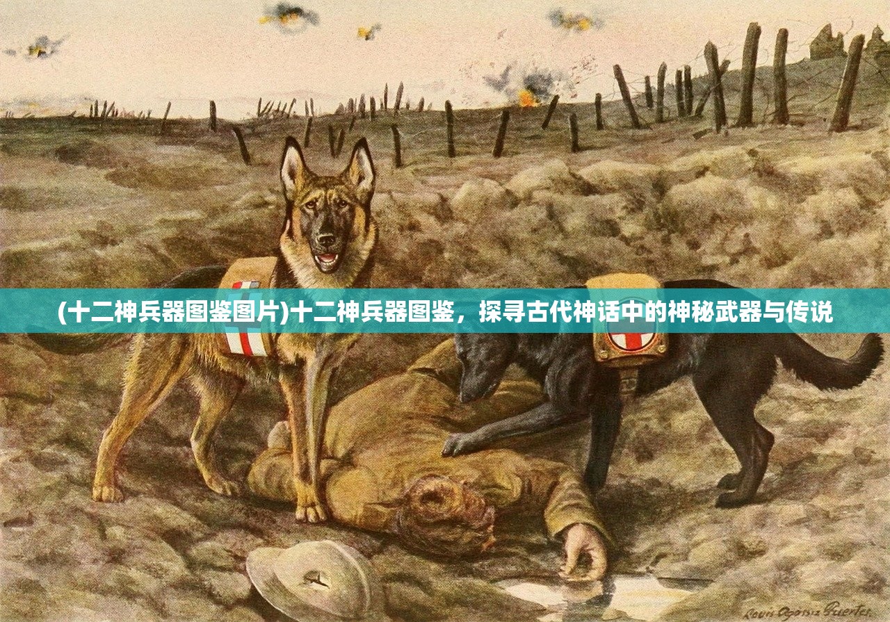 (十二神兵器图鉴图片)十二神兵器图鉴，探寻古代神话中的神秘武器与传说