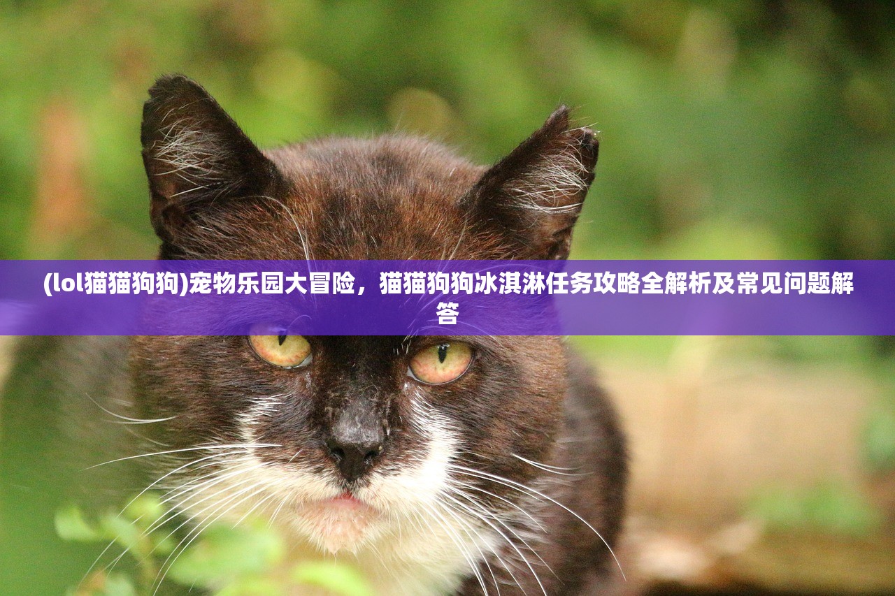 (lol猫猫狗狗)宠物乐园大冒险，猫猫狗狗冰淇淋任务攻略全解析及常见问题解答