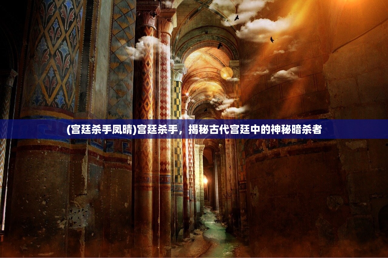 (宫廷杀手凤晴)宫廷杀手，揭秘古代宫廷中的神秘暗杀者