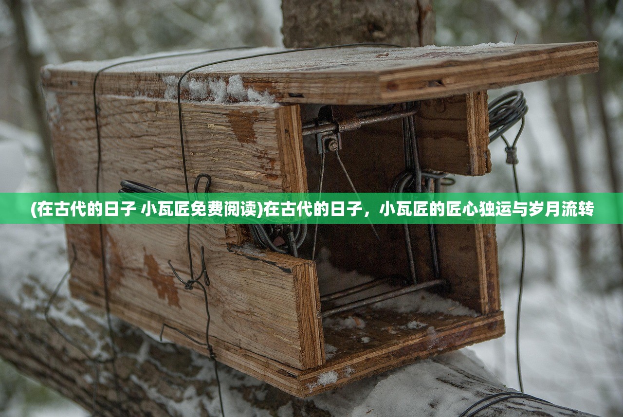 (在古代的日子 小瓦匠免费阅读)在古代的日子，小瓦匠的匠心独运与岁月流转