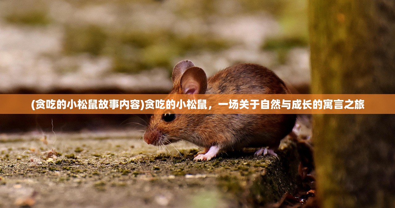 (贪吃的小松鼠故事内容)贪吃的小松鼠，一场关于自然与成长的寓言之旅