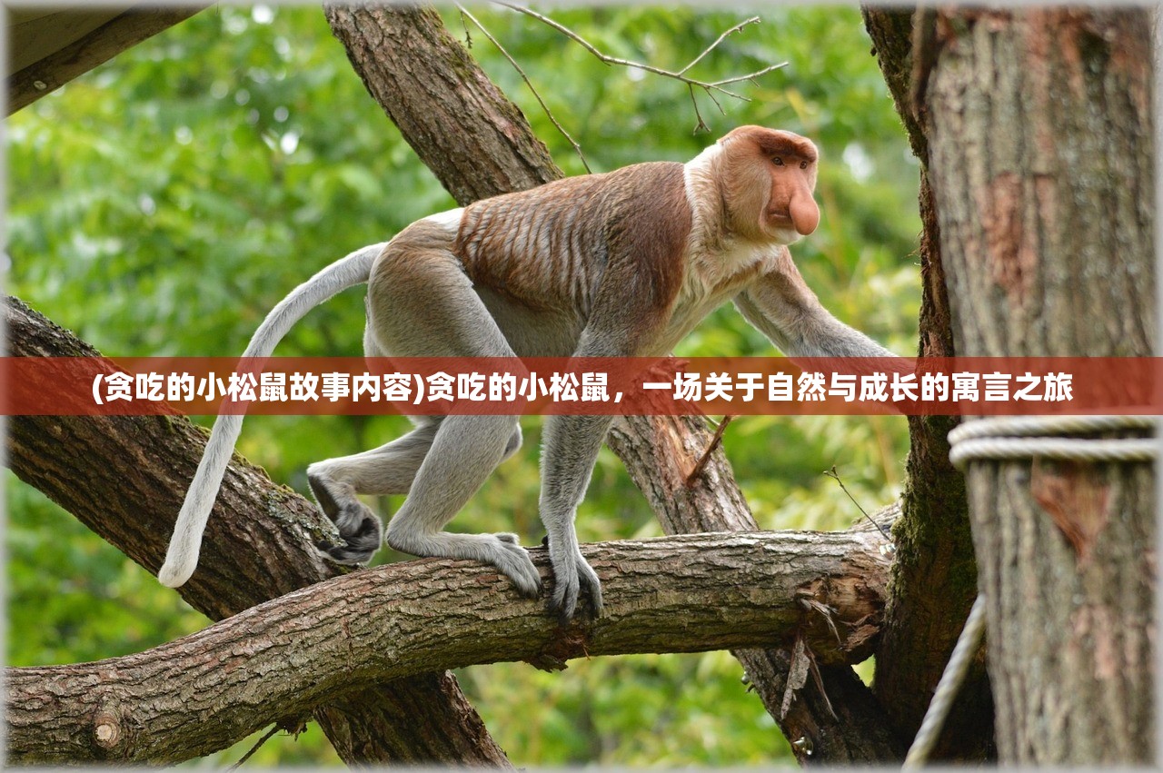 (贪吃的小松鼠故事内容)贪吃的小松鼠，一场关于自然与成长的寓言之旅