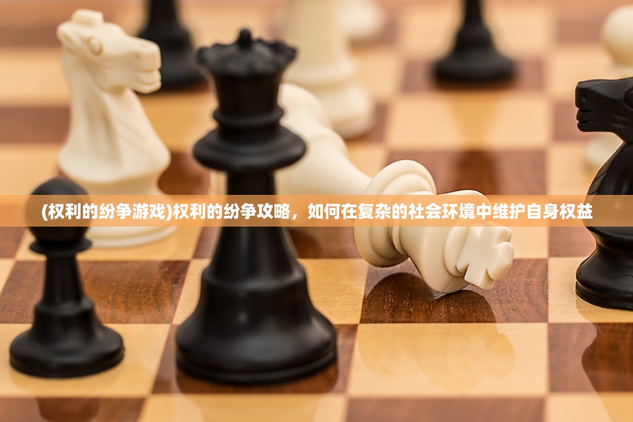 (权利的纷争游戏)权利的纷争攻略，如何在复杂的社会环境中维护自身权益