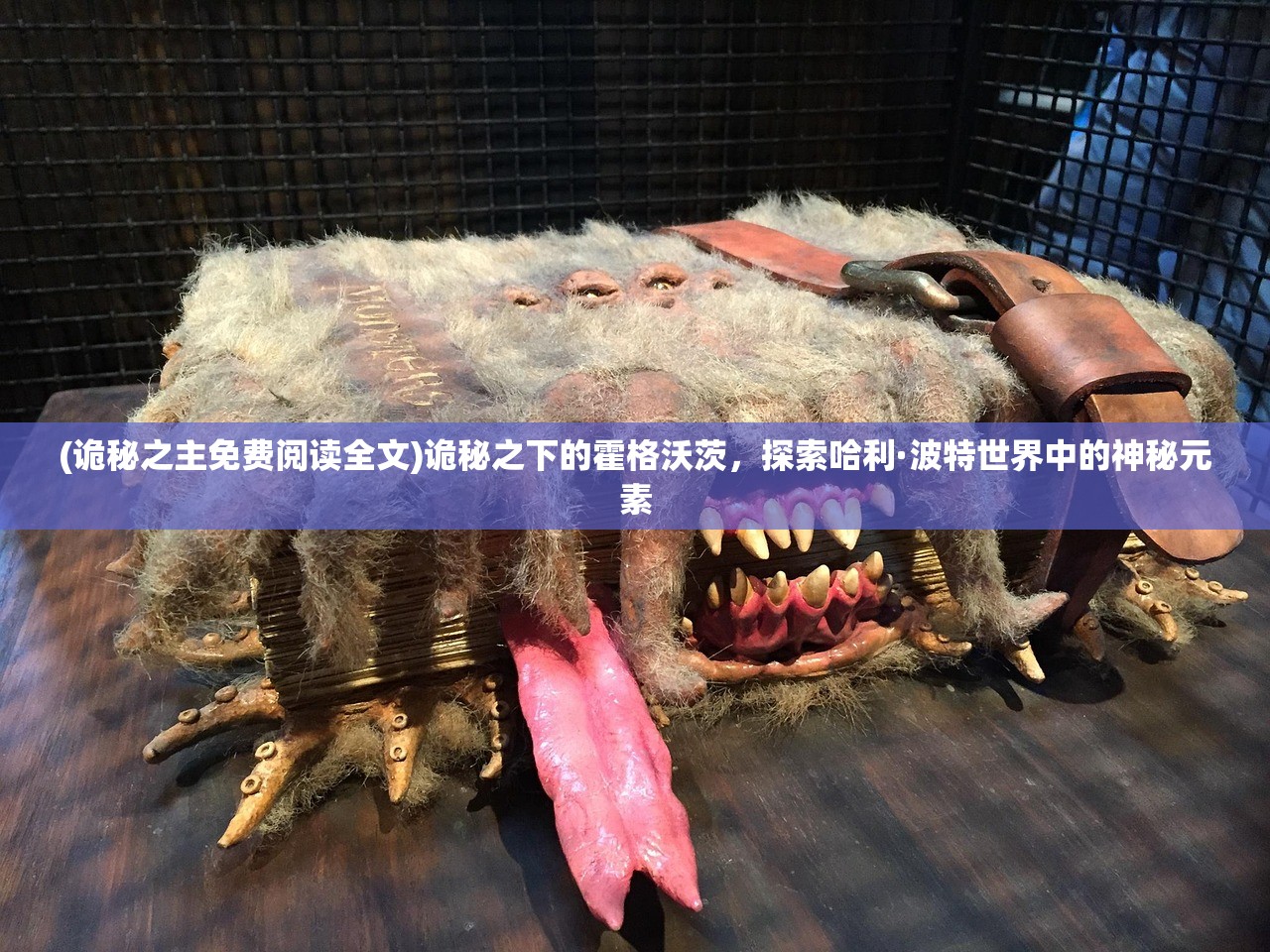 (西游之路林志玲并肩战斗是第几集)西游之路，林志玲携手并肩，探寻女神的跨界挑战与内心世界