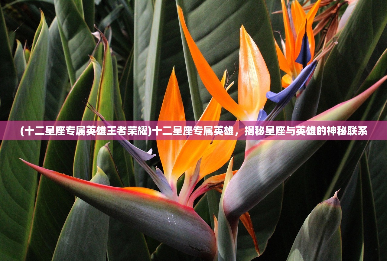 (十二星座专属英雄王者荣耀)十二星座专属英雄，揭秘星座与英雄的神秘联系