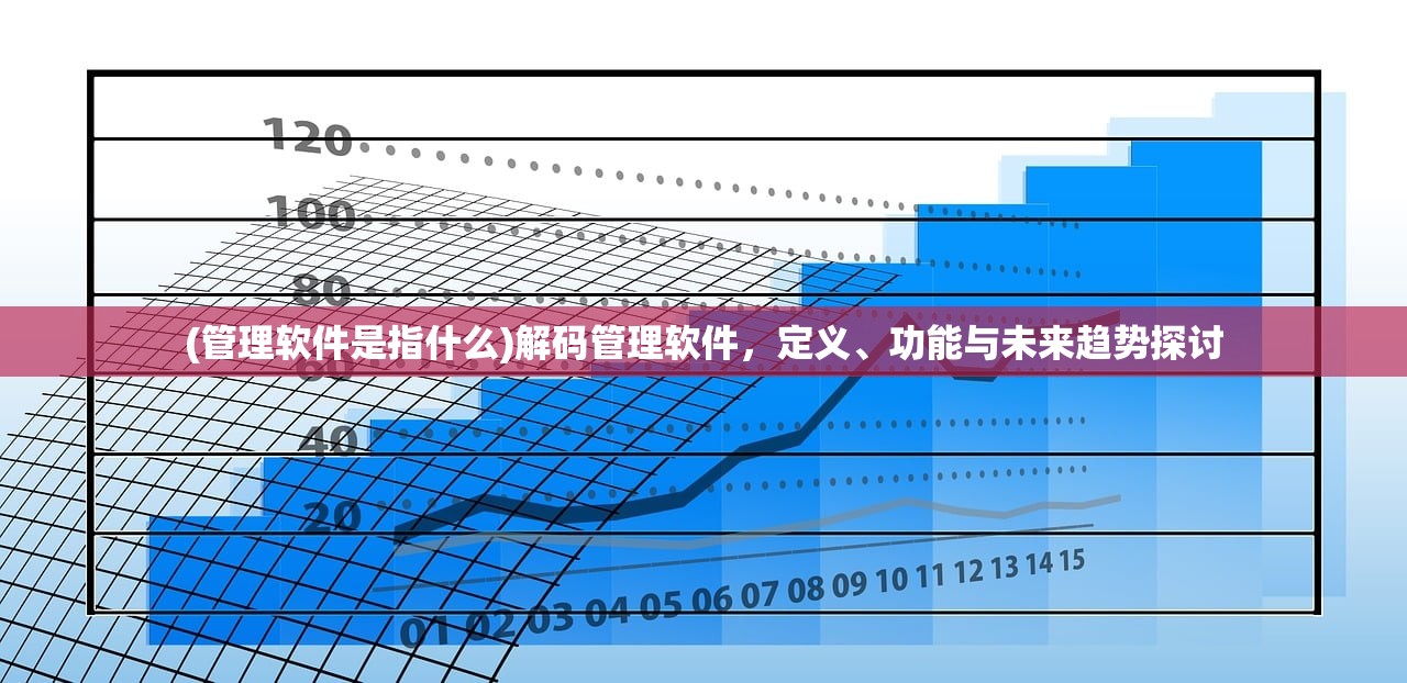 (管理软件是指什么)解码管理软件，定义、功能与未来趋势探讨