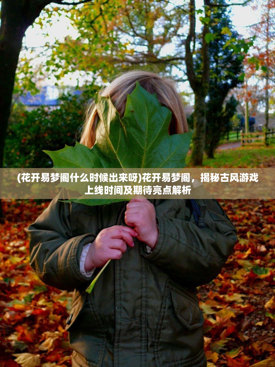 (花开易梦阁什么时候出来呀)花开易梦阁，揭秘古风游戏上线时间及期待亮点解析