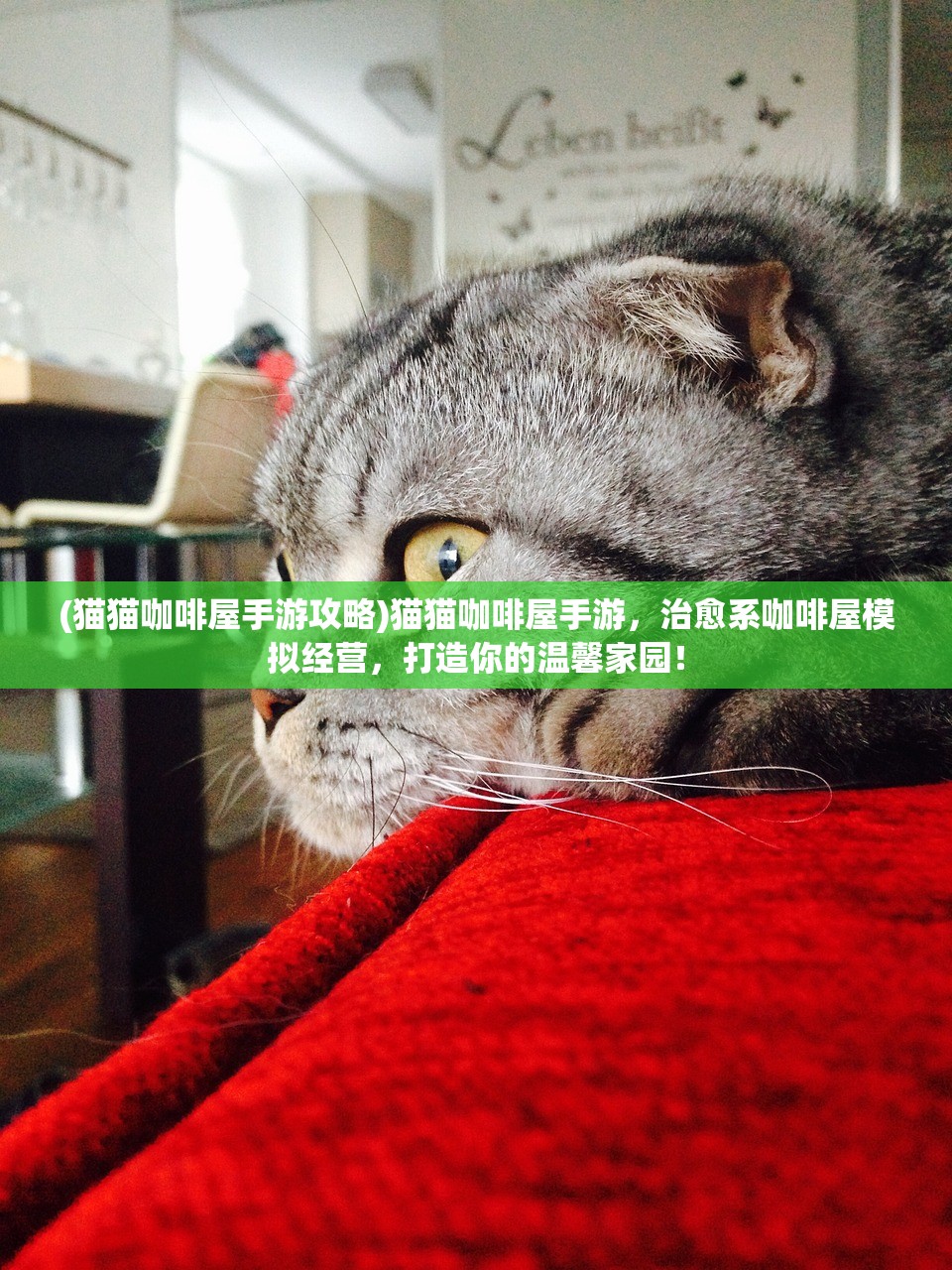 (猫猫咖啡屋手游攻略)猫猫咖啡屋手游，治愈系咖啡屋模拟经营，打造你的温馨家园！