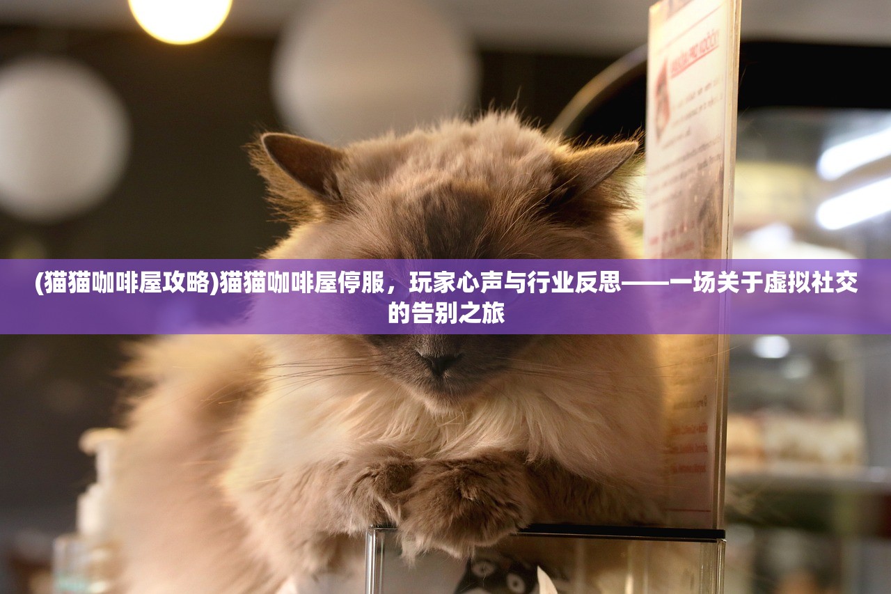 (猫猫咖啡屋攻略)猫猫咖啡屋停服，玩家心声与行业反思——一场关于虚拟社交的告别之旅