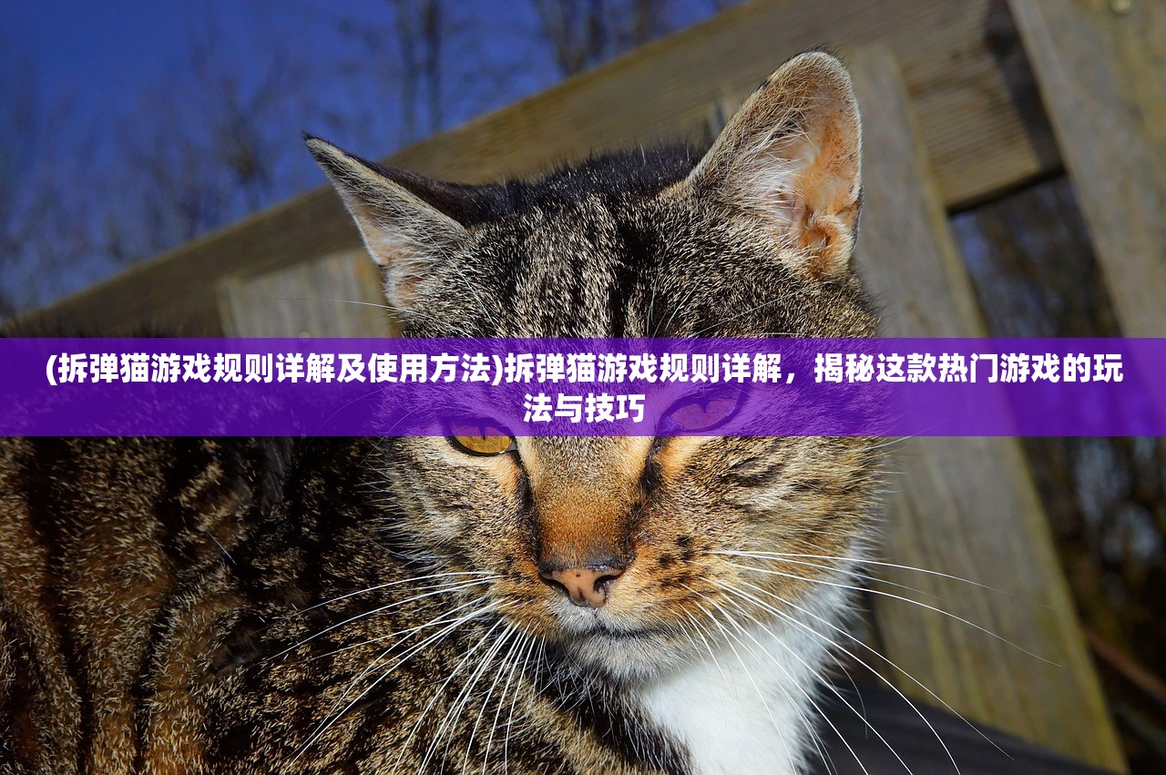 (拆弹猫游戏规则详解及使用方法)拆弹猫游戏规则详解，揭秘这款热门游戏的玩法与技巧