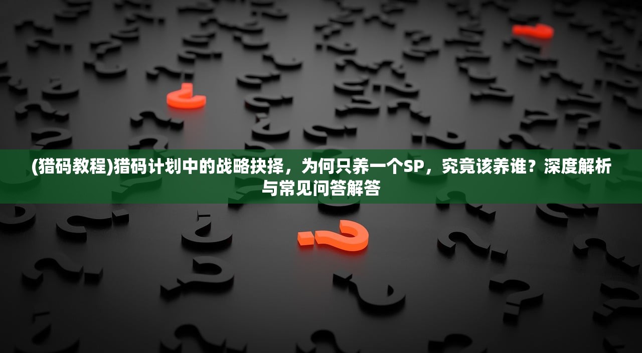 (猎码教程)猎码计划中的战略抉择，为何只养一个SP，究竟该养谁？深度解析与常见问答解答