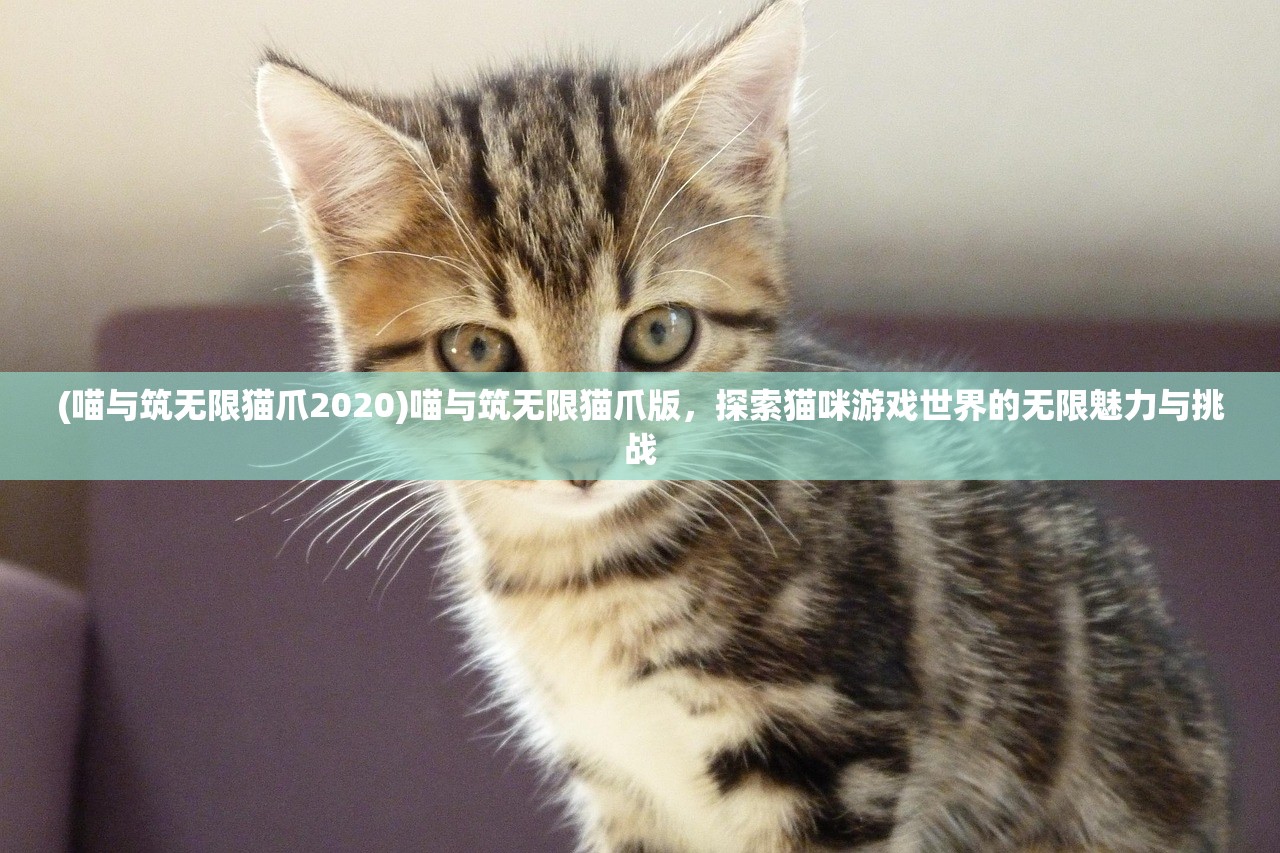 (喵与筑无限猫爪2020)喵与筑无限猫爪版，探索猫咪游戏世界的无限魅力与挑战