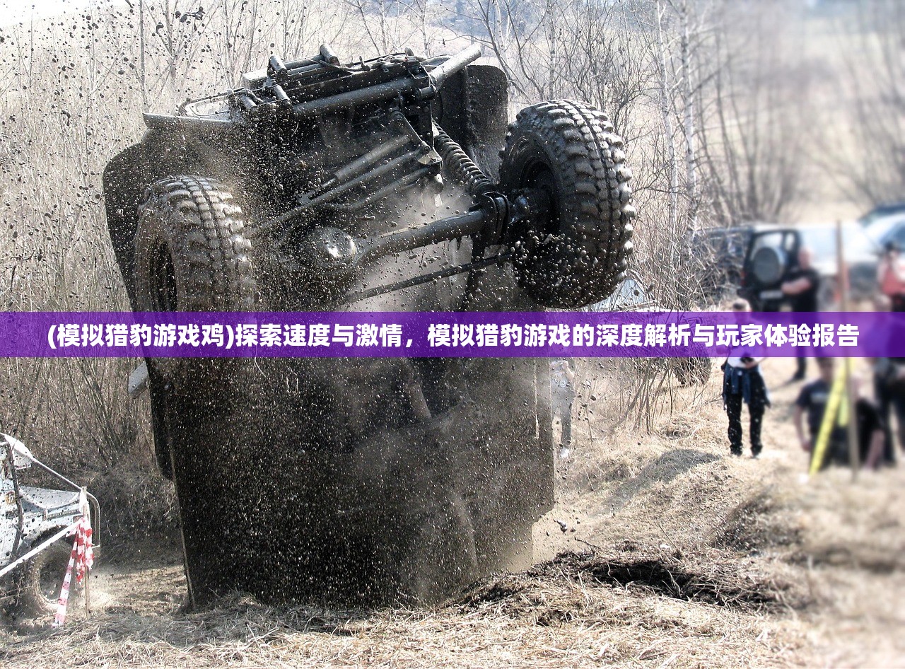 (模拟猎豹游戏鸡)探索速度与激情，模拟猎豹游戏的深度解析与玩家体验报告