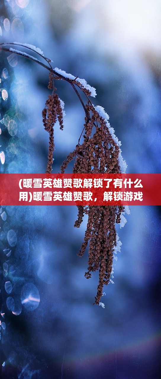 (暖雪英雄赞歌解锁了有什么用)暖雪英雄赞歌，解锁游戏中的神秘英雄，探索英雄赞歌背后的秘密