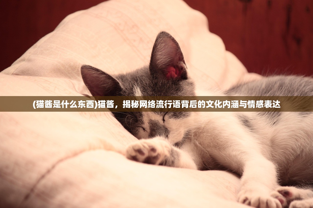 (猫酱是什么东西)猫酱，揭秘网络流行语背后的文化内涵与情感表达