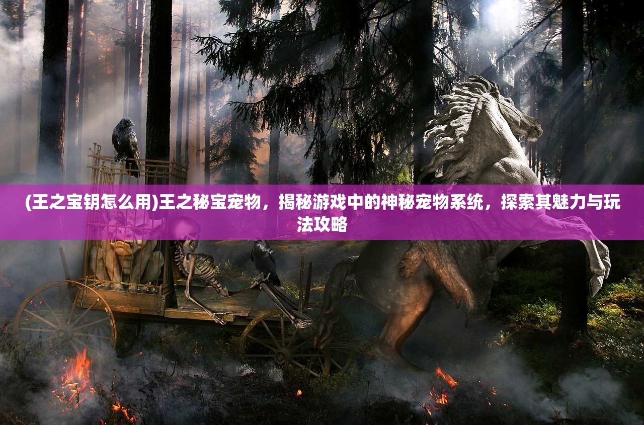 (王之宝钥怎么用)王之秘宝宠物，揭秘游戏中的神秘宠物系统，探索其魅力与玩法攻略