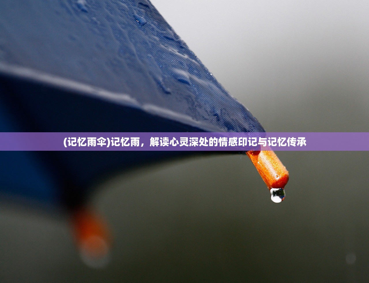 (记忆雨伞)记忆雨，解读心灵深处的情感印记与记忆传承