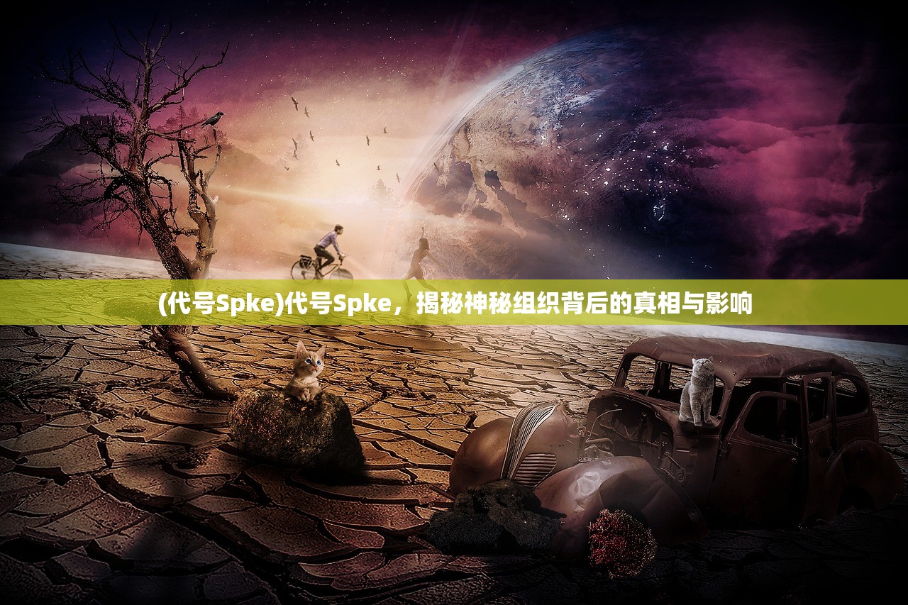 (代号Spke)代号Spke，揭秘神秘组织背后的真相与影响