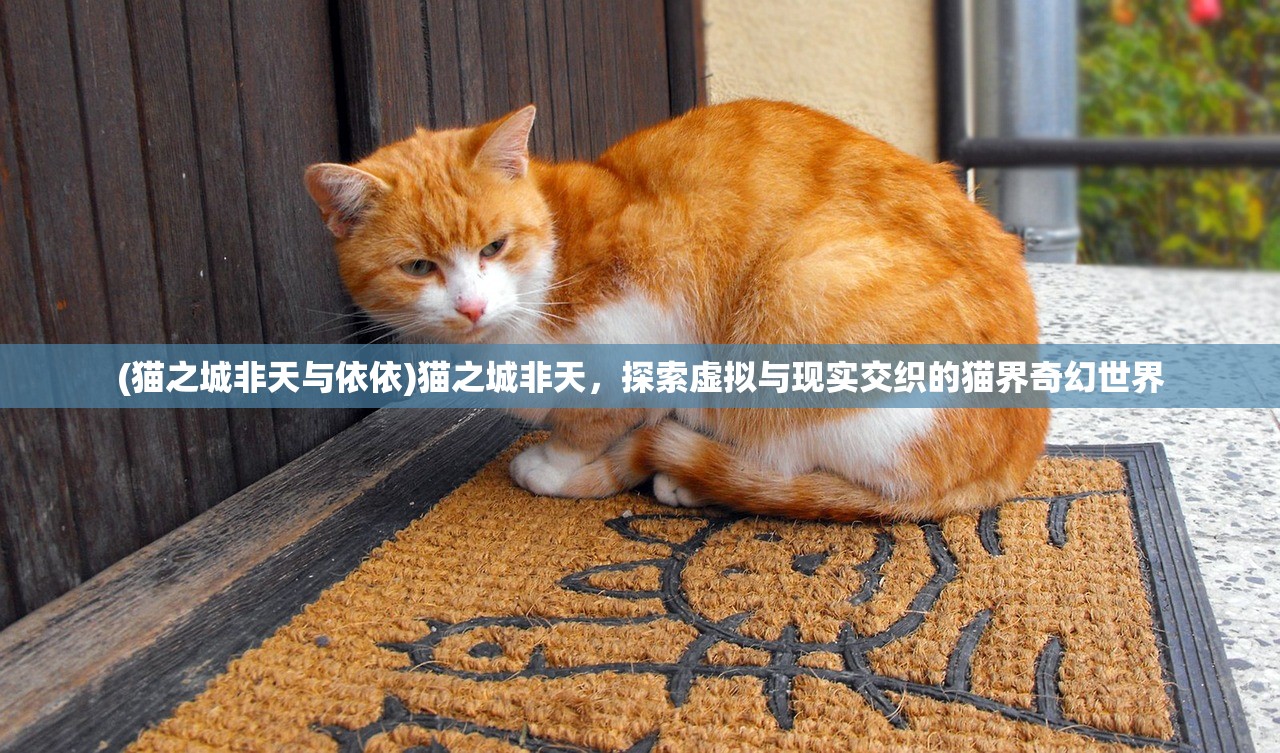 (猫之城非天与依依)猫之城非天，探索虚拟与现实交织的猫界奇幻世界