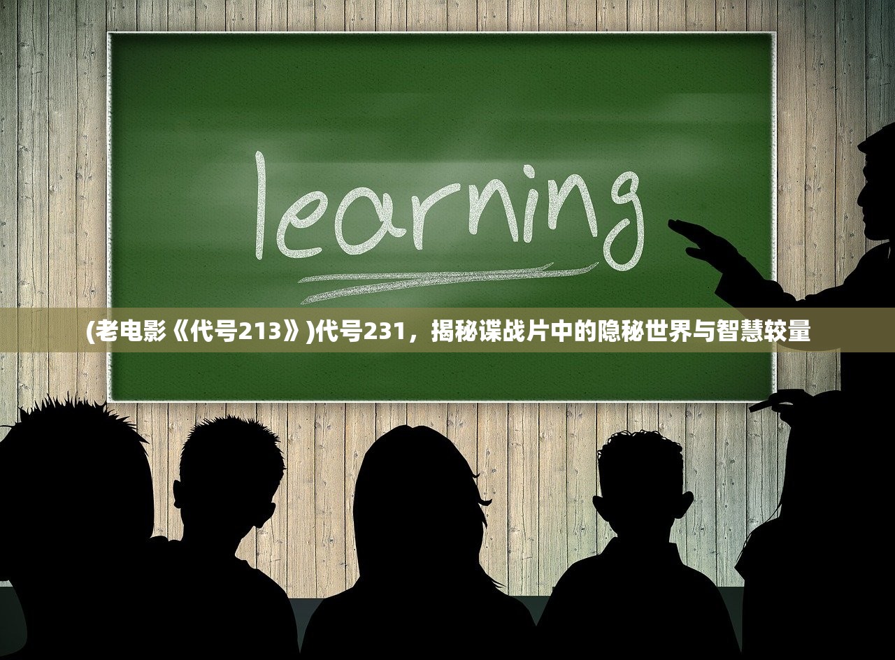 (老电影《代号213》)代号231，揭秘谍战片中的隐秘世界与智慧较量